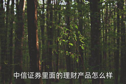 中信證券里面的理財(cái)產(chǎn)品怎么樣