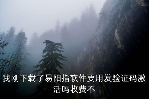 我剛下載了易陽指軟件要用發(fā)驗證碼激活嗎收費不