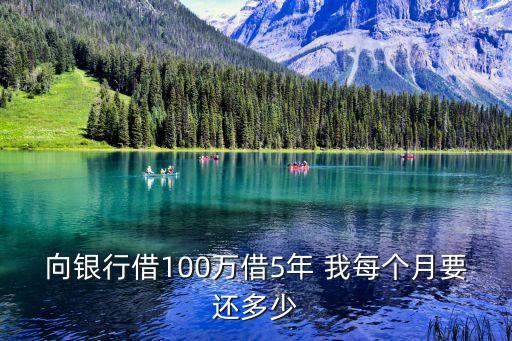 借100萬(wàn)5年還款期怎么還，向銀行借100萬(wàn)借5年 我每個(gè)月要還多少