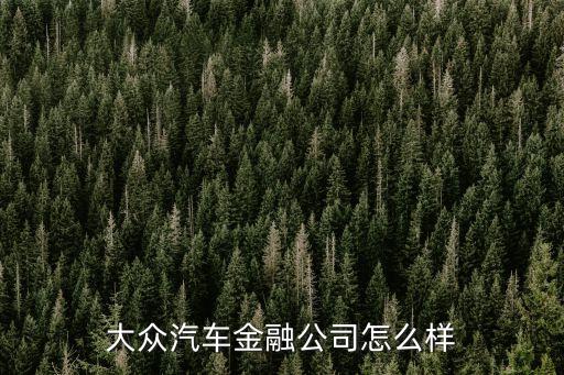 大眾汽車(chē)金融公司怎么樣
