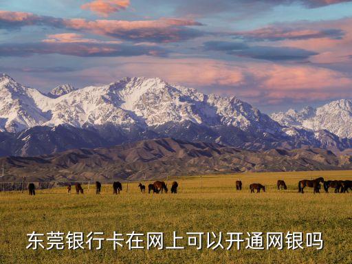 東莞銀行卡在網(wǎng)上可以開通網(wǎng)銀嗎