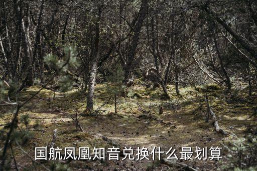 國航鳳凰知音兌換什么最劃算