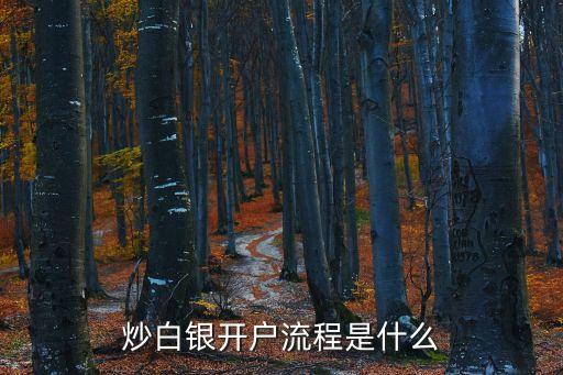 炒白銀開(kāi)戶流程是什么