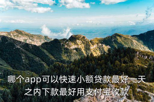 哪個app可以快速小額貸款最好一天之內(nèi)下款最好用支付寶收款