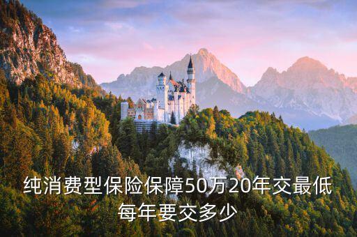 消費型保險一般怎么交，怎樣交保險合適