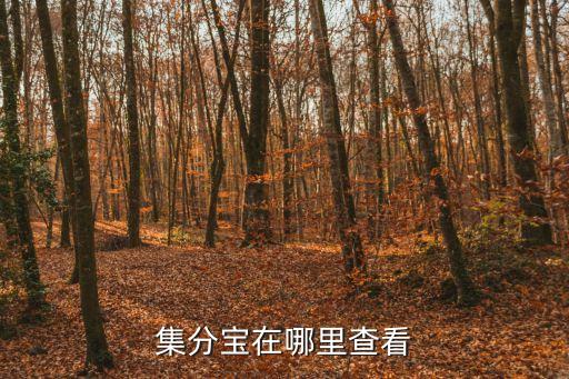 集分寶在哪里查看