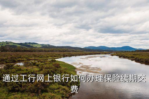 通過工行網(wǎng)上銀行如何辦理保險續(xù)期交費
