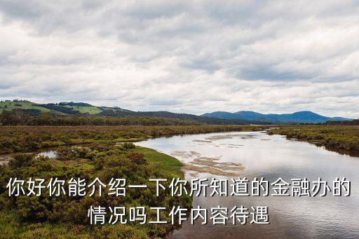 你好你能介紹一下你所知道的金融辦的情況嗎工作內(nèi)容待遇