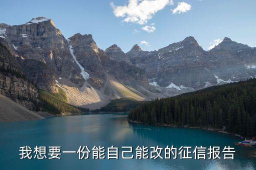 信用報(bào)告怎么偽造，我想要一份能自己能改的征信報(bào)告