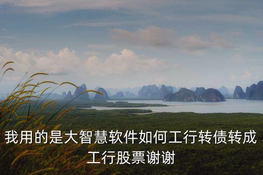 我用的是大智慧軟件如何工行轉(zhuǎn)債轉(zhuǎn)成工行股票謝謝