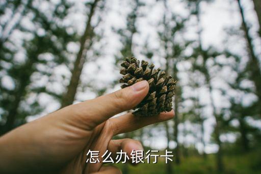 鄭州銀行怎么辦卡，怎么辦銀行卡