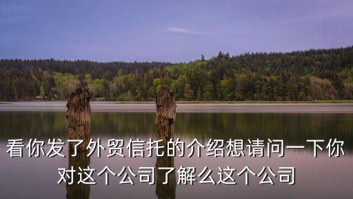 看你發(fā)了外貿(mào)信托的介紹想請問一下你對這個公司了解么這個公司