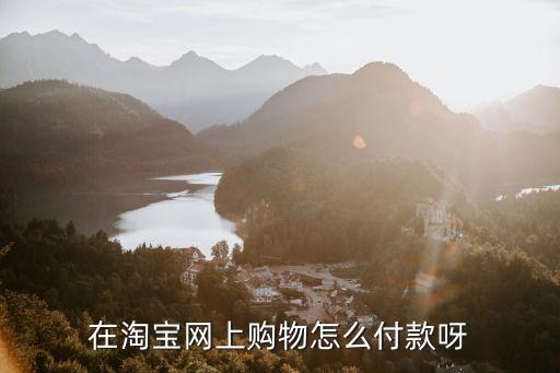 淘寶上購物怎么付款，在淘寶網(wǎng)買東西怎么付錢啊