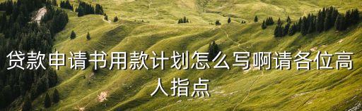 小貸計(jì)劃書怎么寫，貸款申請(qǐng)書用款計(jì)劃怎么寫啊請(qǐng)各位高人指點(diǎn)