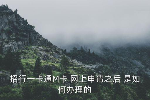 招行一卡通M卡 網(wǎng)上申請之后 是如何辦理的