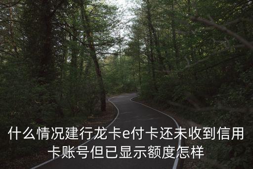 什么情況建行龍卡e付卡還未收到信用卡賬號但已顯示額度怎樣