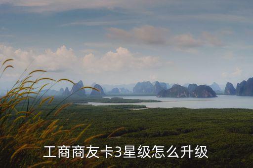 工行商友卡怎么升級，請問我的工行商友卡怎樣升級到5星級謝謝