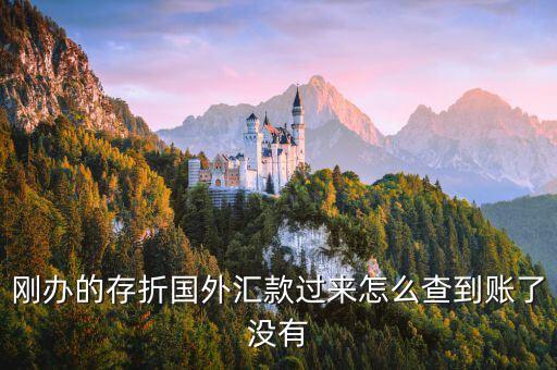 剛辦的存折國外匯款過來怎么查到賬了沒有