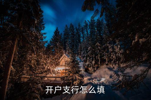 開戶銀行支行怎么填，開戶支行怎么填