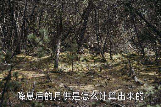 降息后的月供是怎么計算出來的