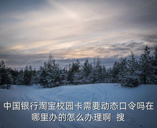 中銀淘寶校園卡怎么辦理，中銀淘寶校園卡怎么弄啊現(xiàn)在網(wǎng)上申請(qǐng)?jiān)偃ャy行
