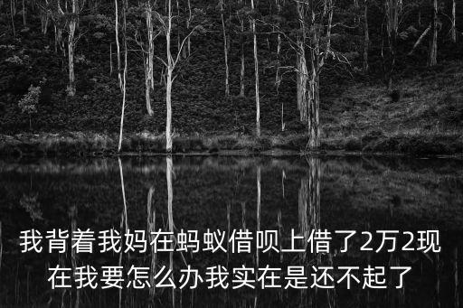 螞蟻借唄借兩萬怎么還，螞蟻借唄我借的兩萬時(shí)間是六個(gè)月第一次還款應(yīng)還多少而且我