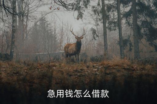 著急用錢怎么借貸，急需用錢如何貸款
