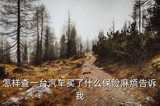 怎樣查一臺汽車買了什么保險麻煩告訴我