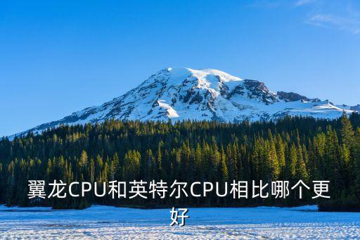 怎么樣的翼龍，為翼龍很可能是飛行能收的依據(jù)是什么
