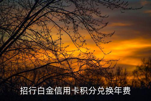 招行百夫長(zhǎng)年費(fèi)怎么收，美國(guó)運(yùn)通百夫長(zhǎng)黑金卡年費(fèi)是多少