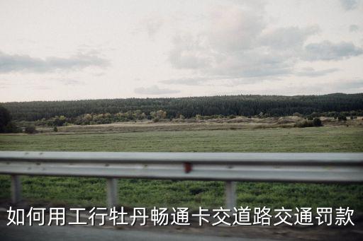 牡丹交通卡怎么交罰款，怎么在 中國工商銀行牡丹暢通卡交罰款