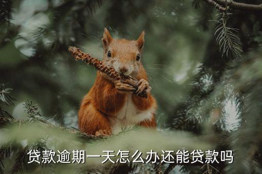 貸款逾期一天怎么辦還能貸款嗎
