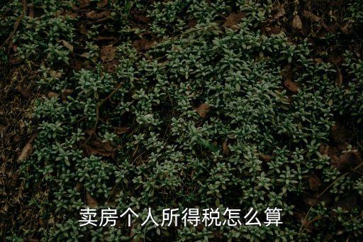 賣房的個(gè)人所得稅怎么算，二手房交易個(gè)人所得稅是怎么繳納的