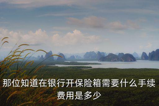 那位知道在銀行開保險(xiǎn)箱需要什么手續(xù)費(fèi)用是多少