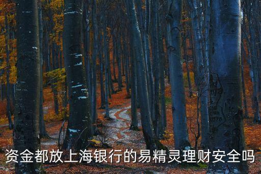 資金都放上海銀行的易精靈理財安全嗎