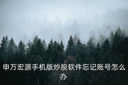 申萬宏源手機(jī)版炒股軟件忘記賬號(hào)怎么辦