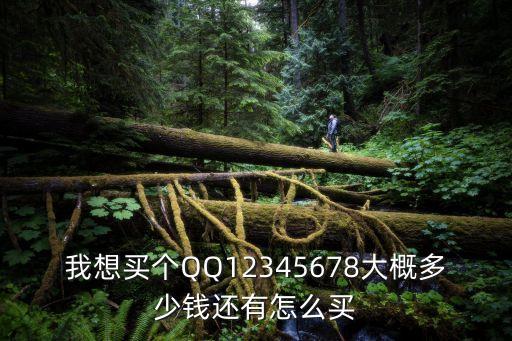 我想買個(gè)QQ12345678大概多少錢還有怎么買