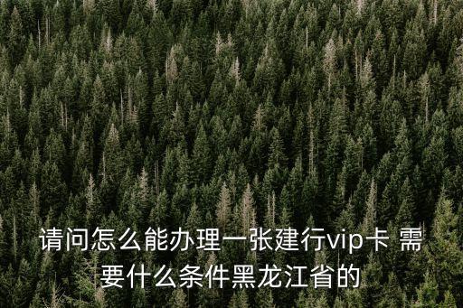 建行貴賓卡怎么辦，建設(shè)銀行的 VIP 卡是怎么辦理的