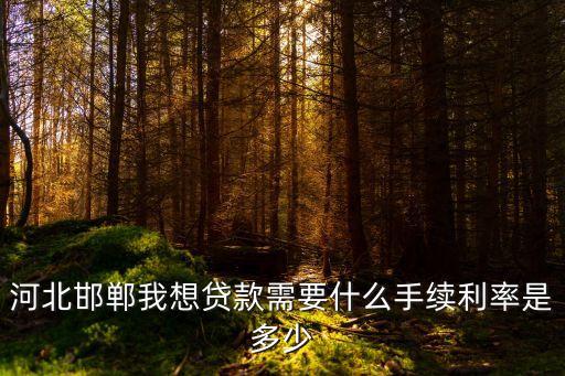 邯鄲怎么貸款利率，河北邯鄲我想貸款需要什么手續(xù)利率是多少