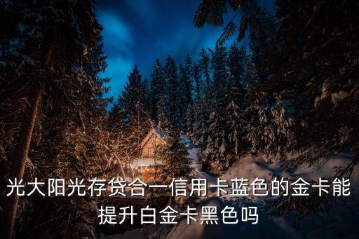 光大陽光存貸合一信用卡藍(lán)色的金卡能提升白金卡黑色嗎