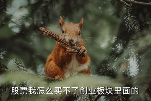 股票我怎么買不了創(chuàng)業(yè)板塊里面的