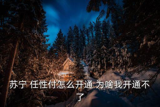 蘇寧任性付怎么開通，如何使用蘇寧易購任性付消費