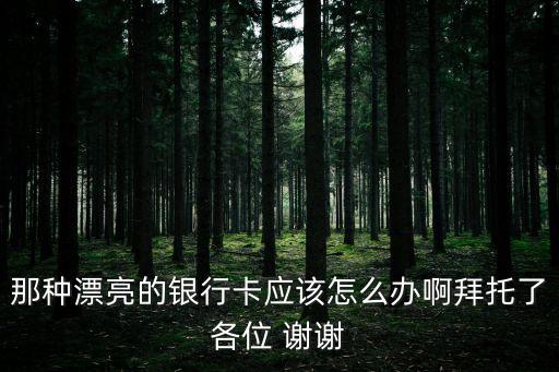 那種漂亮的銀行卡應(yīng)該怎么辦啊拜托了各位 謝謝
