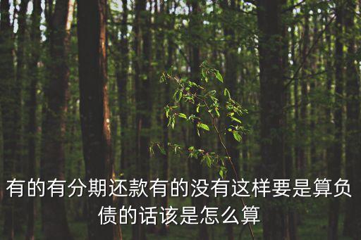 有的有分期還款有的沒有這樣要是算負(fù)債的話該是怎么算