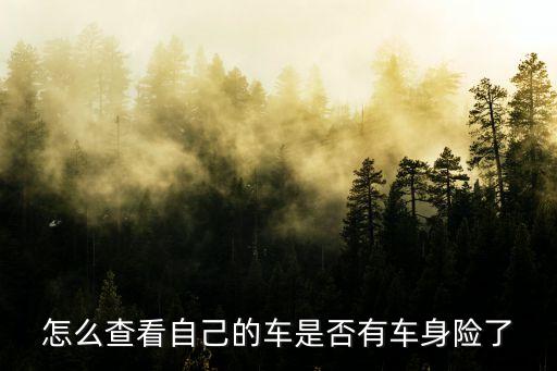 怎么查車子有沒有保險，怎么查詢機(jī)動車買沒買保險