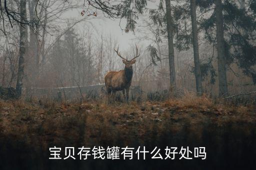 寶貝存錢罐有什么好處嗎