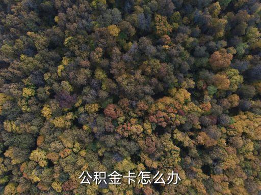 鄭州公積金卡怎么辦理，公積金卡怎么辦