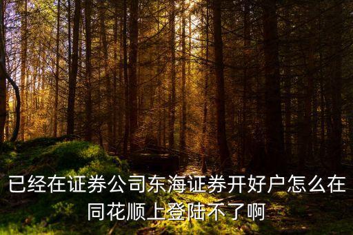 已經(jīng)在證券公司東海證券開好戶怎么在同花順上登陸不了啊