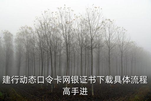 建行動態(tài)口令卡網銀證書下載具體流程高手進