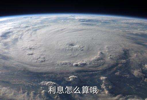 應付利息怎么算，利息怎么算哦